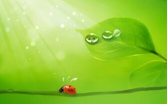Cute Wallpaper For Desktop HD Res