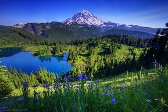 Go Back Pix For Mount Rainier Wallpaper