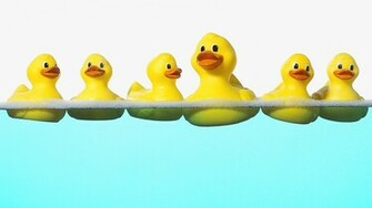 Rubber Ducks Wallpaper