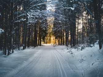 Nature Winter 4k Ultra HD Wallpaper