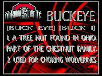 Buckeyes Definition Buckeye Sports Football HD Wallpaper