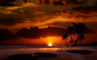 Island Paradise Background