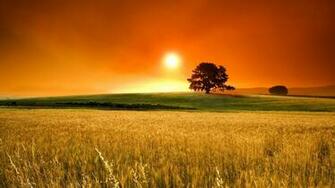 Sunset Superb HD Wallpaper