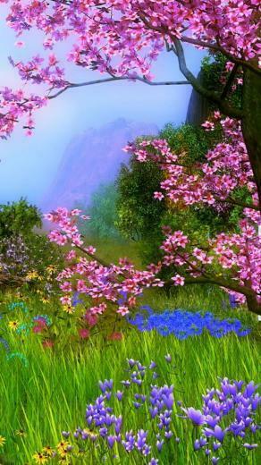 Spring Paysage Wallpaper Android Applications
