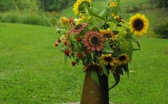 Fine Gardening Wallpaper Fall Cutting Garden