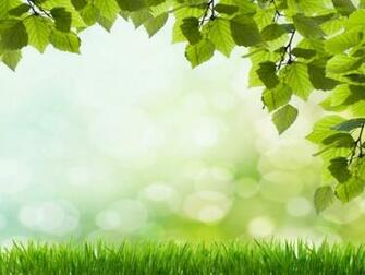 Background Beautiful Green Grass Power Point