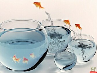 Very Funny Jumping Fish Wallpaper