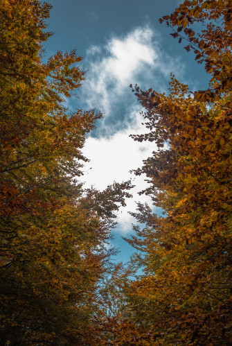 Best HD Mobile Wallpaper