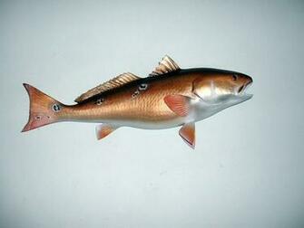 Image Gallery Redfish Wallpaper