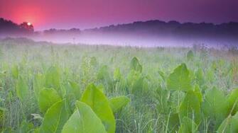 Sunrise Weir Nature Center Wisconsin