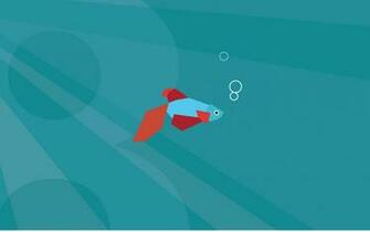 Beta Fish Wallpaper Windows