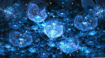 Blue Flowers Desktop Wallpaper On
