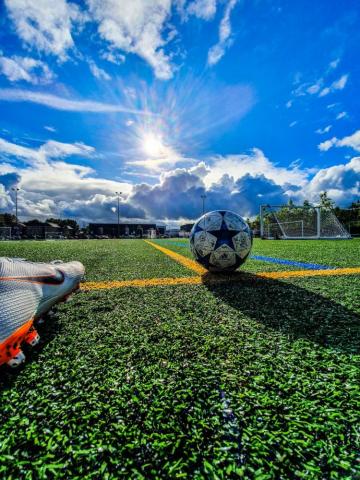 Soccer Field Pictures Image