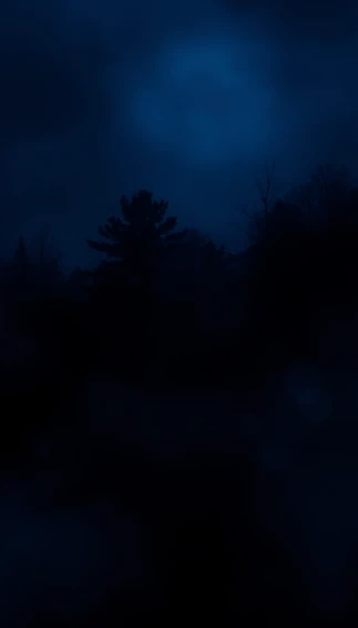 Dark Phone Wallpaper