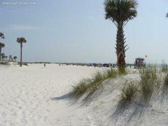 Background Large Wallpaper Of Florida S Gulf Coast
