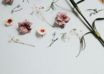 Minimalist Pictures Image