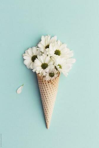 Daisies In An Ice Cream Cornet This High Resolution Stock