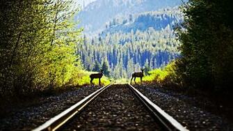 Railroad Wallpaper Background