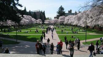 University Of Washington Campus In Seattle City Wallpaper