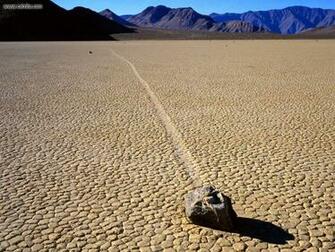 Death Valley Baby Animals HD Wallpaper Background Image