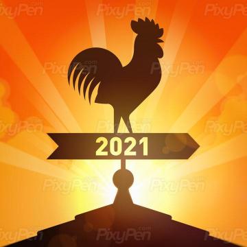Horse Jumping To New Year Wallpaper And Background Pixypen
