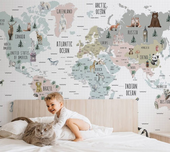 Amazon Marewallart World Map Wallpaper Kids Wall Mural
