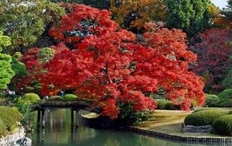 In Kobe Japan High Quality And Resolution Wallpaper