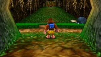Banjo Kazooie HD Wallpaper X Net
