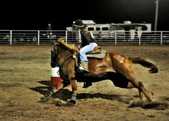 Barrel Racing By Da Cha