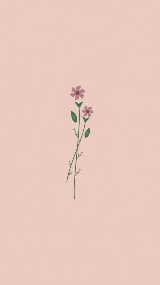Pink Flower Wallpaper Flowers
