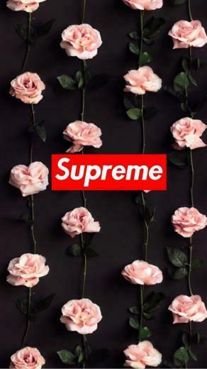 Supreme Wallpaper