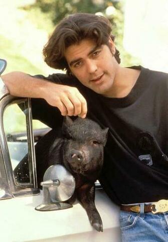 Young George Clooney With His Pet Pig Men That Are Almost As