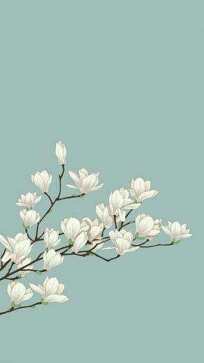 Minimalist Wallpaper