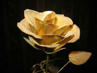 Wallpaper S Computer Gold Rose