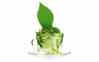 Green Tea Wallpaper Leaves