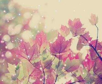 Displaying Gallery Image For Fall Photography
