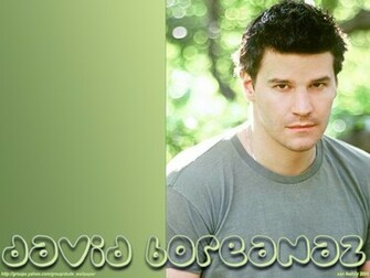 David Boreanaz Wallpaper