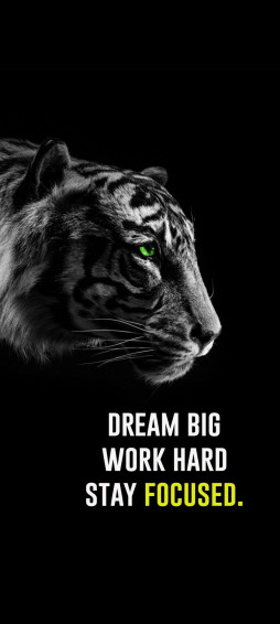 Dream Big Work Hard Stay Focused
