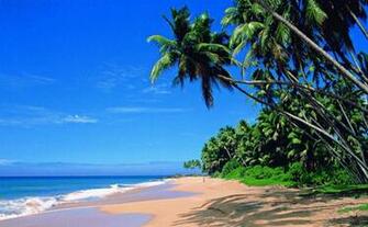 Beach In Sri Lanka HD Wallpaper Best Places To
