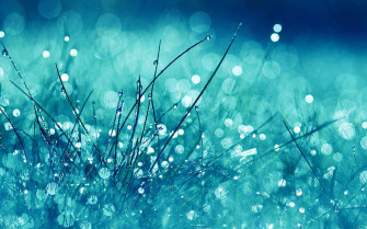 Feeling The Rain On A Cloudy Day Wallpaper