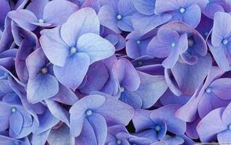 Windows Lock Screen Wallpaper Or