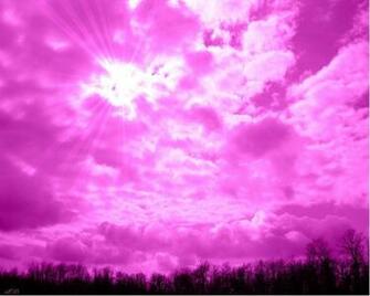 Pink Sky Trees Photograph Abstract Fantasy HD Wallpaper