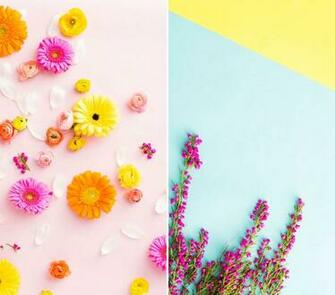Brand New Desktop And Smartphone Wallpaper For Spring Brit Co