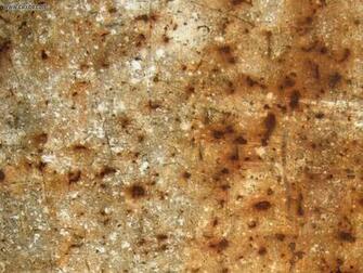 Development Rusty Scratched Metal Picture Nr