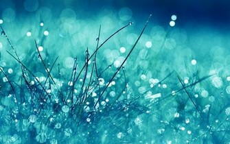 Rain Wallpaper High Definition Quality Widescreen