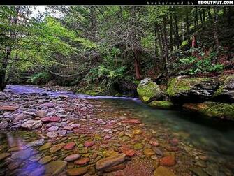 Trout Fishing Wallpaper Desktop Background