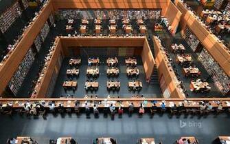 Large Scale Library Bing Theme Wallpaper