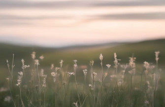 Blur Background