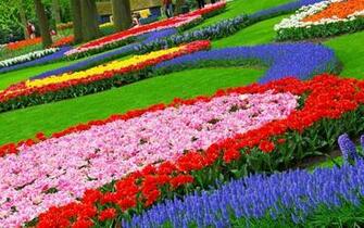 Flower Gardens Wallpaper For Desktop