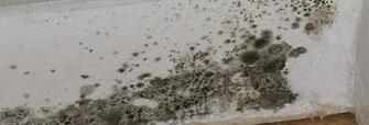 Why Should I Take Careof These Black Spots
